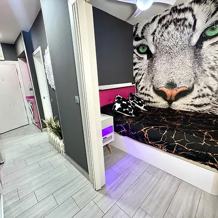 Luxury And Pink Vistasalmar Apartamento *