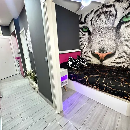 Pink Center Apartment *